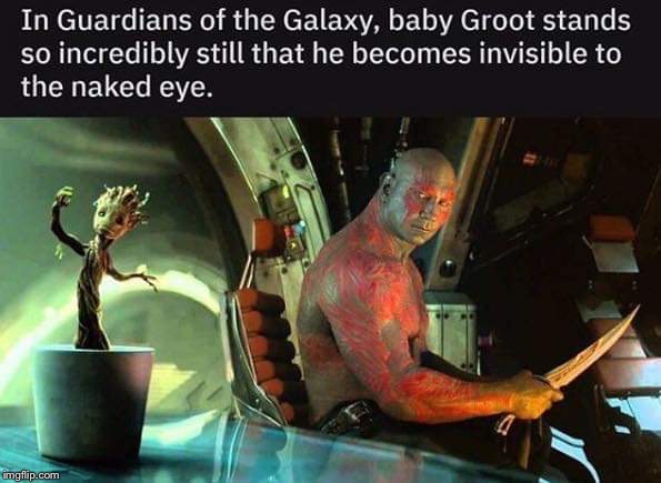 Groot was doin it before it was even a thing drax, sorry. | image tagged in groot | made w/ Imgflip meme maker