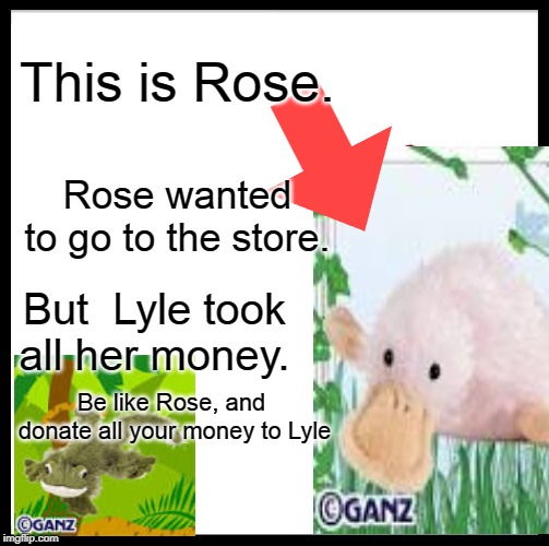 This is Rose. Rose wanted to go to the store. But  Lyle took all her money. Be like Rose, and  donate all your money to Lyle | image tagged in be like bill | made w/ Imgflip meme maker