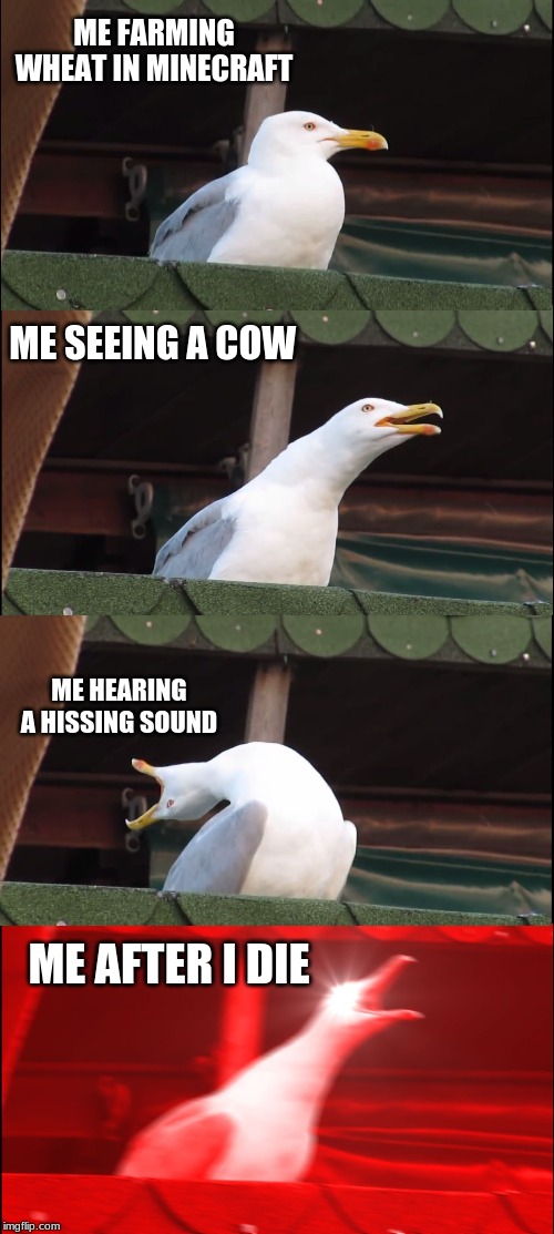 Inhaling Seagull | ME FARMING WHEAT IN MINECRAFT; ME SEEING A COW; ME HEARING A HISSING SOUND; ME AFTER I DIE | image tagged in memes,inhaling seagull | made w/ Imgflip meme maker