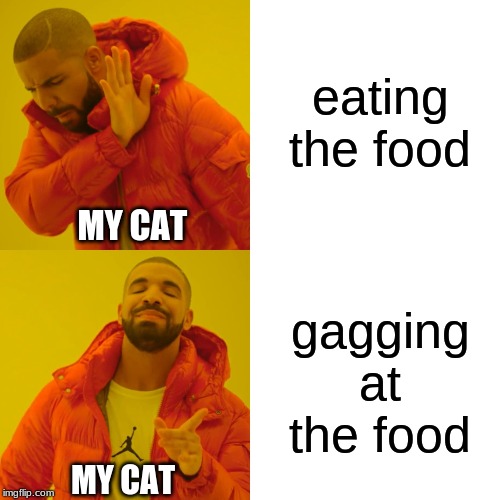Drake Hotline Bling | eating the food; MY CAT; gagging at the food; MY CAT | image tagged in memes,drake hotline bling | made w/ Imgflip meme maker