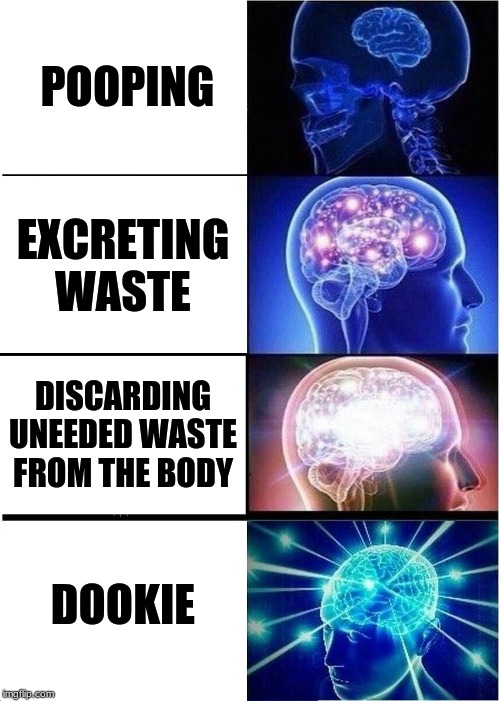 Expanding Brain | POOPING; EXCRETING WASTE; DISCARDING UNEEDED WASTE FROM THE BODY; DOOKIE | image tagged in memes,expanding brain | made w/ Imgflip meme maker