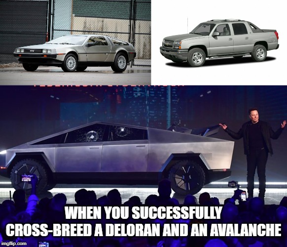 WHEN YOU SUCCESSFULLY CROSS-BREED A DELORAN AND AN AVALANCHE | image tagged in cybertruck,avalanche,delorean,tesla | made w/ Imgflip meme maker