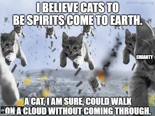 Believe | I BELIEVE CATS TO BE SPIRITS COME TO EARTH. CHIANTY; A CAT, I AM SURE, COULD WALK ON A CLOUD WITHOUT COMING THROUGH. | image tagged in clouds | made w/ Imgflip meme maker