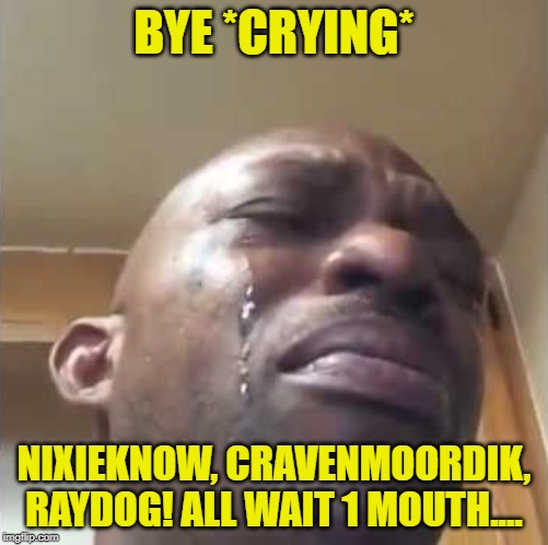 :( bye, all best friends! | BYE *CRYING*; NIXIEKNOW, CRAVENMOORDIK, RAYDOG! ALL WAIT 1 MOUTH.... | image tagged in crying guy meme | made w/ Imgflip meme maker