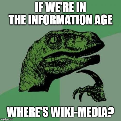 Serious question. | IF WE'RE IN THE INFORMATION AGE; WHERE'S WIKI-MEDIA? | image tagged in memes,philosoraptor | made w/ Imgflip meme maker