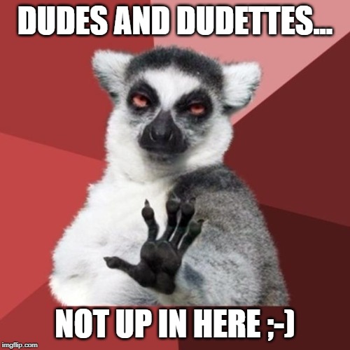 Chill Out Lemur Meme | DUDES AND DUDETTES... NOT UP IN HERE ;-) | image tagged in memes,chill out lemur | made w/ Imgflip meme maker