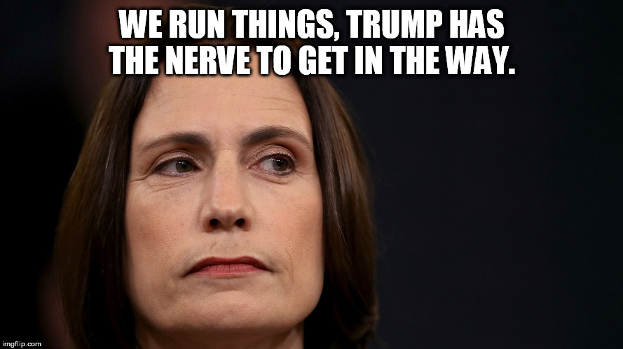 fiona hill | WE RUN THINGS, TRUMP HAS THE NERVE TO GET IN THE WAY. | image tagged in fiona hill | made w/ Imgflip meme maker