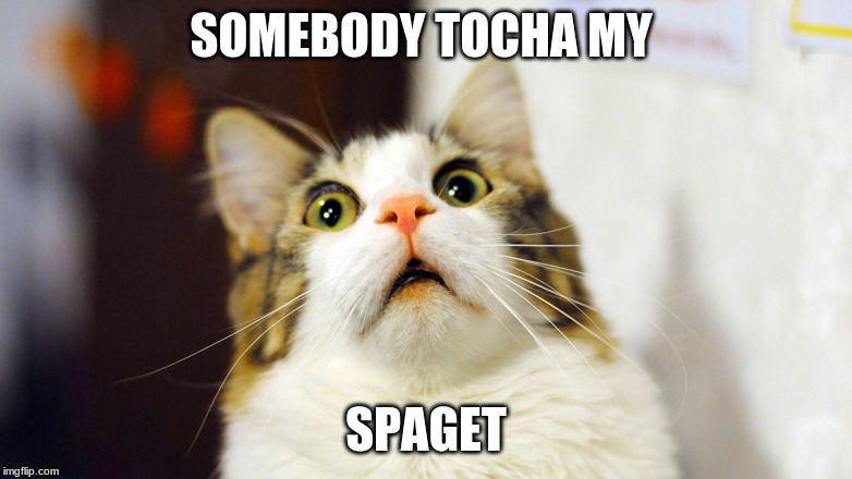 SOMEBODY TOCHA MY; SPAGET | image tagged in spaget | made w/ Imgflip meme maker