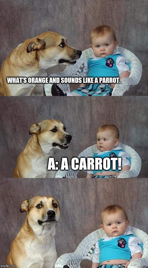 Dad Joke Dog Meme | WHAT’S ORANGE AND SOUNDS LIKE A PARROT. A: A CARROT! | image tagged in memes,dad joke dog | made w/ Imgflip meme maker