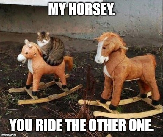 MY HORSEY. YOU RIDE THE OTHER ONE. | image tagged in cats | made w/ Imgflip meme maker