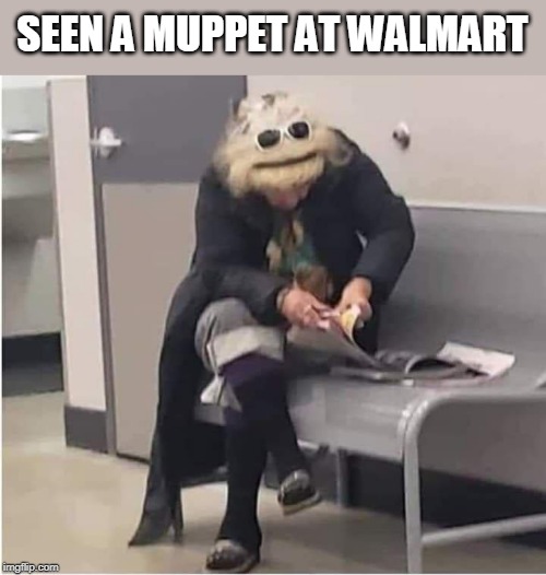 SCARY | SEEN A MUPPET AT WALMART | image tagged in muppets,walmart | made w/ Imgflip meme maker