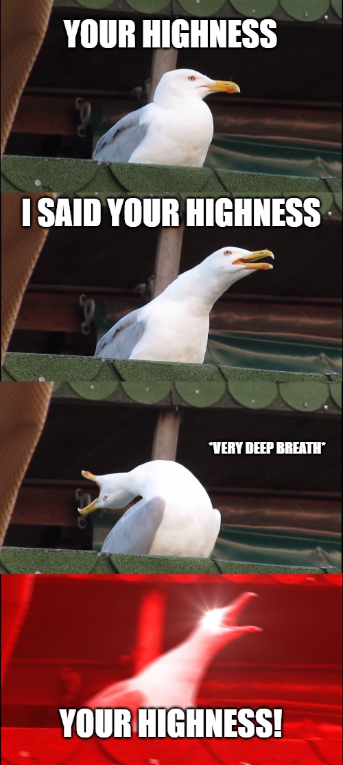 Inhaling Seagull | YOUR HIGHNESS; I SAID YOUR HIGHNESS; *VERY DEEP BREATH*; YOUR HIGHNESS! | image tagged in memes,inhaling seagull | made w/ Imgflip meme maker