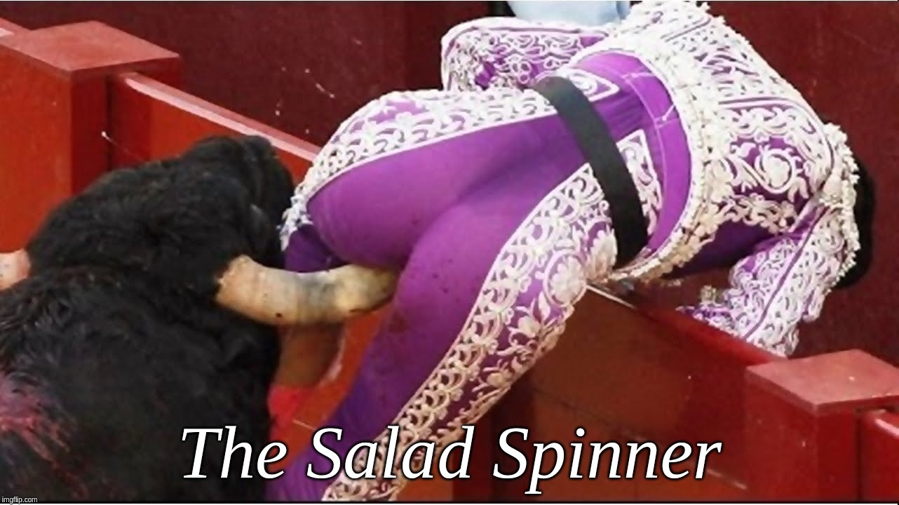 The Salad Spinner | The Salad Spinner | image tagged in bullfight,toro,horn,butt,salad | made w/ Imgflip meme maker