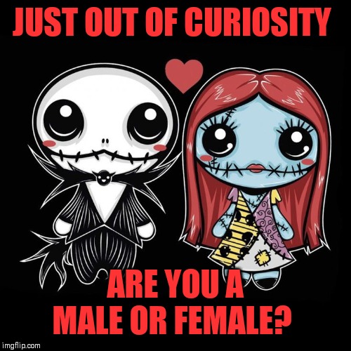 Not that it's any of my business ;) | JUST OUT OF CURIOSITY; ARE YOU A MALE OR FEMALE? | made w/ Imgflip meme maker