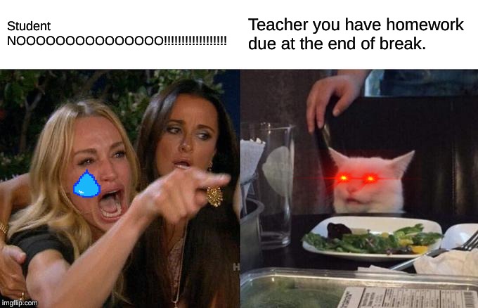 Woman Yelling At Cat | Student NOOOOOOOOOOOOOOO!!!!!!!!!!!!!!!!!! Teacher you have homework due at the end of break. | image tagged in memes,woman yelling at cat | made w/ Imgflip meme maker