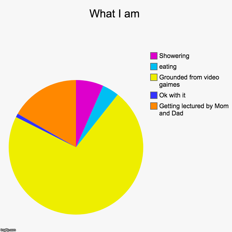 What I am | Getting lectured by Mom and Dad, Ok with it, Grounded from video gaimes, eating, Showering | image tagged in charts,pie charts | made w/ Imgflip chart maker