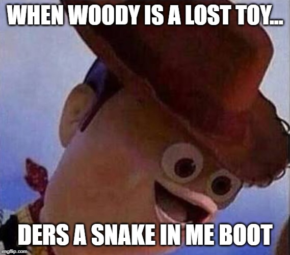 Derp Woody | WHEN WOODY IS A LOST TOY... DERS A SNAKE IN ME BOOT | image tagged in derp woody | made w/ Imgflip meme maker