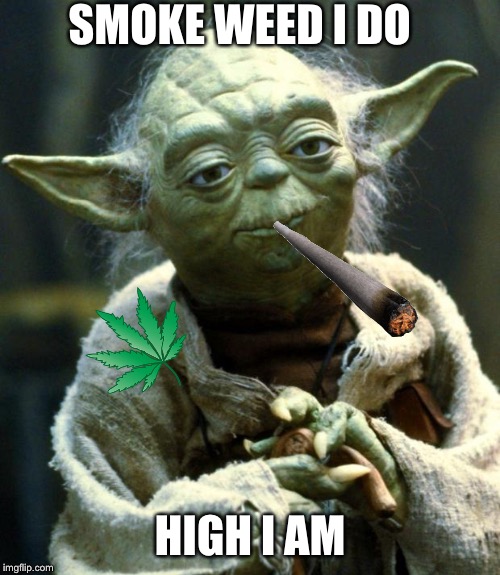 Star Wars Yoda Meme | SMOKE WEED I DO; HIGH I AM | image tagged in memes,star wars yoda | made w/ Imgflip meme maker