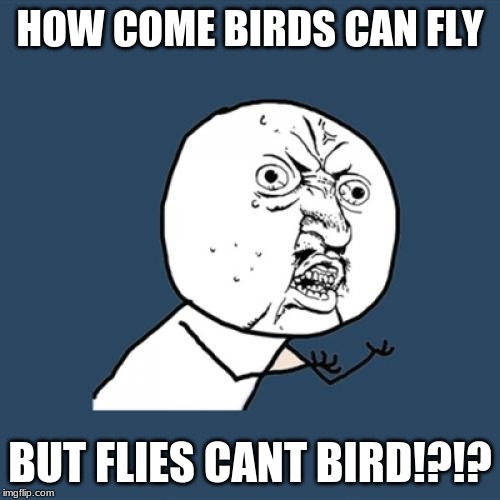 Y U No Meme | HOW COME BIRDS CAN FLY; BUT FLIES CANT BIRD!?!? | image tagged in memes,y u no | made w/ Imgflip meme maker
