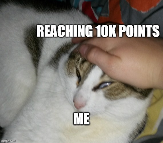 Grab Cat | REACHING 10K POINTS; ME | image tagged in grab cat | made w/ Imgflip meme maker