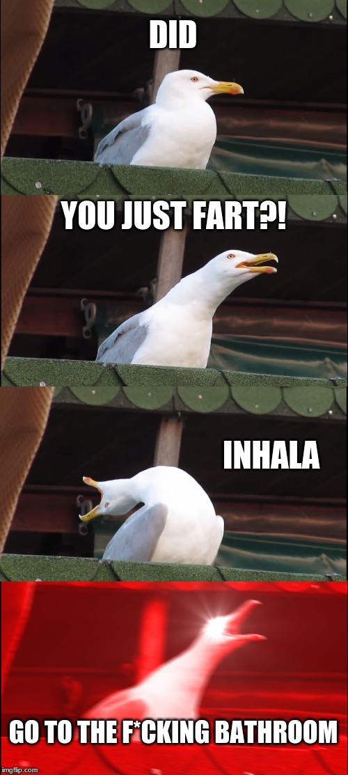 Inhaling Seagull Meme | DID; YOU JUST FART?! INHALA; GO TO THE F*CKING BATHROOM | image tagged in memes,inhaling seagull | made w/ Imgflip meme maker