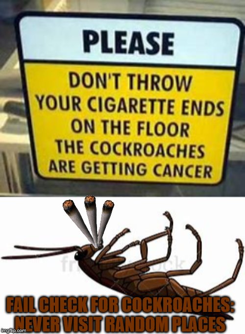 Check first before visiting a random place, expectaly Drug Stores | FAIL CHECK FOR COCKROACHES: NEVER VISIT RANDOM PLACES | image tagged in cockroach,funny signs,cigarette,cancer,fail,drugs | made w/ Imgflip meme maker