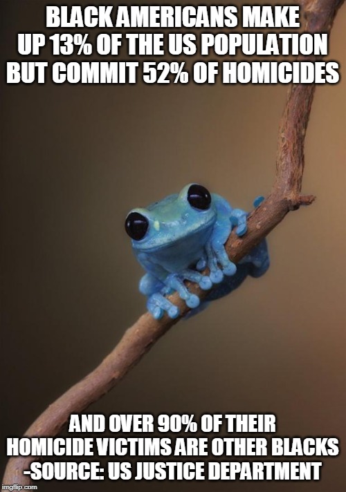 small fact frog | BLACK AMERICANS MAKE UP 13% OF THE US POPULATION BUT COMMIT 52% OF HOMICIDES AND OVER 90% OF THEIR HOMICIDE VICTIMS ARE OTHER BLACKS
-SOURCE | image tagged in small fact frog | made w/ Imgflip meme maker