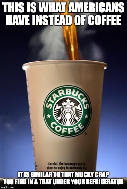 Starbucks | THIS IS WHAT AMERICANS HAVE INSTEAD OF COFFEE; IT IS SIMILAR TO THAT MUCKY CRAP YOU FIND IN A TRAY UNDER YOUR REFRIGERATOR | image tagged in starbucks,coffee,memes | made w/ Imgflip meme maker