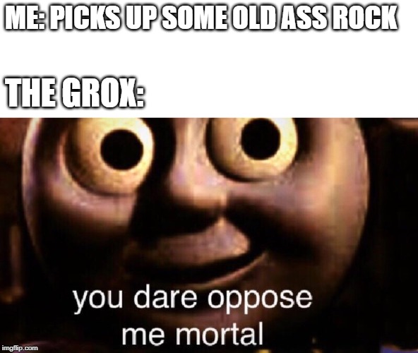 You dare oppose me mortal | ME: PICKS UP SOME OLD ASS ROCK; THE GROX: | image tagged in you dare oppose me mortal | made w/ Imgflip meme maker