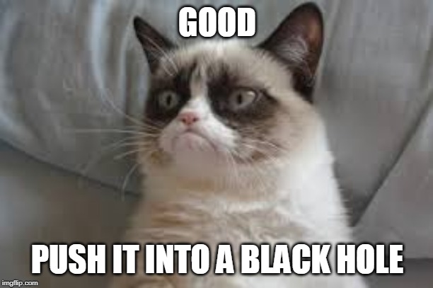 Grumpy cat | GOOD PUSH IT INTO A BLACK HOLE | image tagged in grumpy cat | made w/ Imgflip meme maker