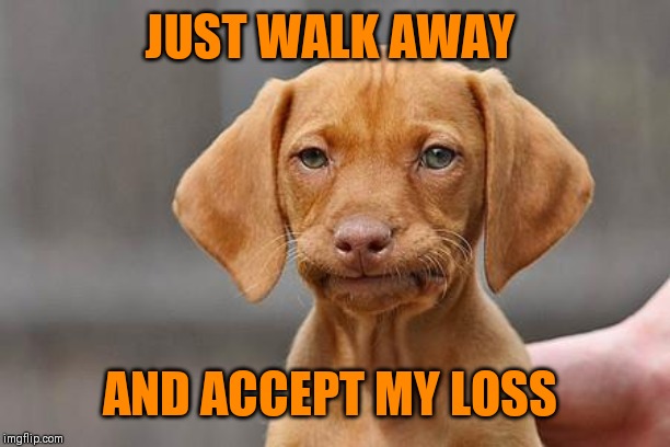 Dissapointed puppy | JUST WALK AWAY AND ACCEPT MY LOSS | image tagged in dissapointed puppy | made w/ Imgflip meme maker