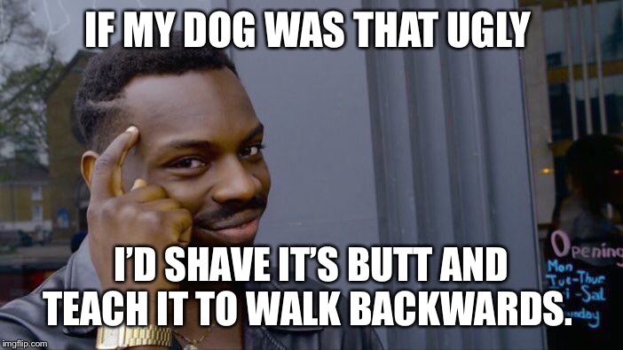 Roll Safe Think About It Meme | IF MY DOG WAS THAT UGLY I’D SHAVE IT’S BUTT AND TEACH IT TO WALK BACKWARDS. | image tagged in memes,roll safe think about it | made w/ Imgflip meme maker