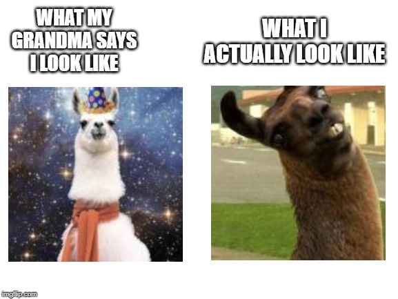 Blank White Template | WHAT MY GRANDMA SAYS I LOOK LIKE; WHAT I ACTUALLY LOOK LIKE | image tagged in blank white template | made w/ Imgflip meme maker