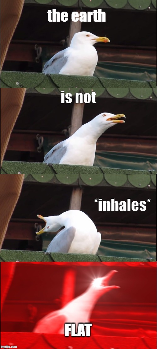 Inhaling Seagull | the earth; is not; *inhales*; FLAT | image tagged in memes,inhaling seagull | made w/ Imgflip meme maker