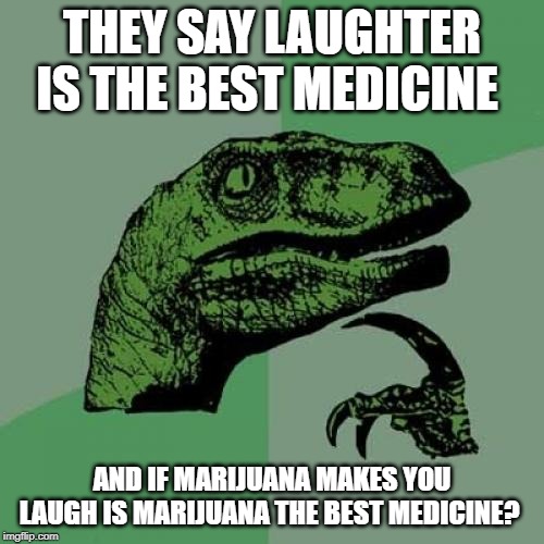 Philosoraptor | THEY SAY LAUGHTER IS THE BEST MEDICINE; AND IF MARIJUANA MAKES YOU LAUGH IS MARIJUANA THE BEST MEDICINE? | image tagged in memes,philosoraptor | made w/ Imgflip meme maker