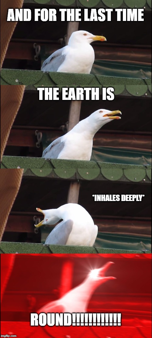 Inhaling Seagull | AND FOR THE LAST TIME; THE EARTH IS; *INHALES DEEPLY*; ROUND!!!!!!!!!!!! | image tagged in memes,inhaling seagull | made w/ Imgflip meme maker