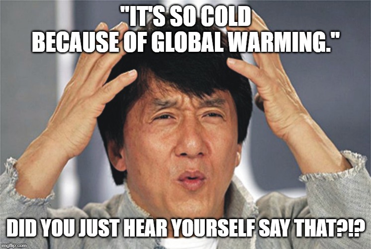 Jackie Chan Confused | "IT'S SO COLD BECAUSE OF GLOBAL WARMING."; DID YOU JUST HEAR YOURSELF SAY THAT?!? | image tagged in jackie chan confused | made w/ Imgflip meme maker