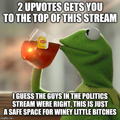 But That's None Of My Business Meme | 2 UPVOTES GETS YOU TO THE TOP OF THIS STREAM I GUESS THE GUYS IN THE POLITICS STREAM WERE RIGHT, THIS IS JUST A SAFE SPACE FOR WINEY LITTLE  | image tagged in memes,but thats none of my business,kermit the frog | made w/ Imgflip meme maker