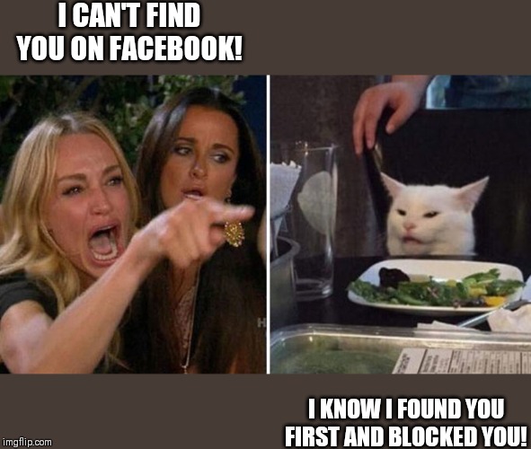 Woman yelling at white cat | I CAN'T FIND YOU ON FACEBOOK! I KNOW I FOUND YOU FIRST AND BLOCKED YOU! | image tagged in woman yelling at white cat | made w/ Imgflip meme maker