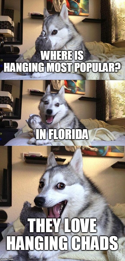 Bad Pun Dog Meme | WHERE IS HANGING MOST POPULAR? IN FLORIDA; THEY LOVE HANGING CHADS | image tagged in memes,bad pun dog | made w/ Imgflip meme maker