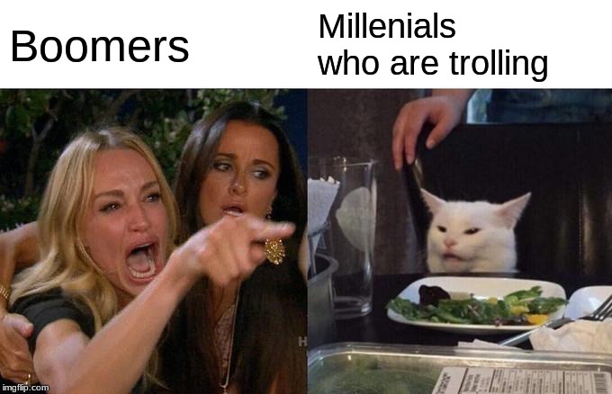 Woman Yelling At Cat | Boomers; Millenials who are trolling | image tagged in memes,woman yelling at cat | made w/ Imgflip meme maker