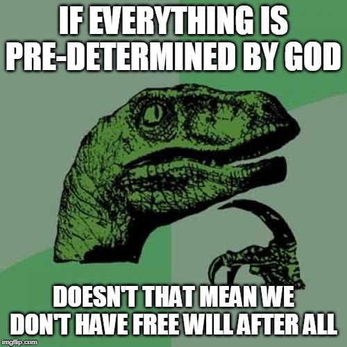 Philosoraptor | IF EVERYTHING IS PRE-DETERMINED BY GOD; DOESN'T THAT MEAN WE DON'T HAVE FREE WILL AFTER ALL | image tagged in memes,philosoraptor,god,pre-determined,free will,the abrahamic god | made w/ Imgflip meme maker