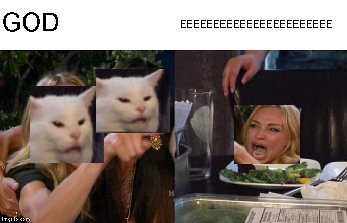 GOD EEEEEEEEEEEEEEEEEEEEEEE | image tagged in memes,woman yelling at cat | made w/ Imgflip meme maker