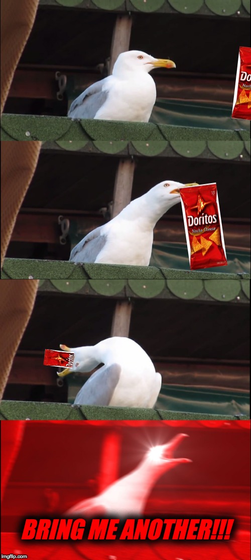 Inhaling Seagull | BRING ME ANOTHER!!! | image tagged in memes,inhaling seagull | made w/ Imgflip meme maker