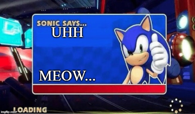 Sonic Says | UHH; MEOW... | image tagged in sonic says | made w/ Imgflip meme maker
