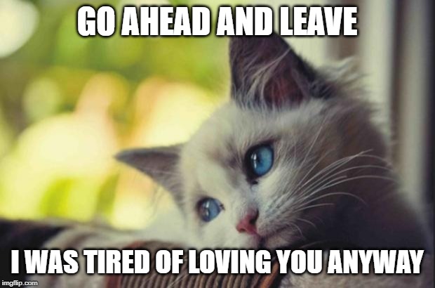 Sad cat | GO AHEAD AND LEAVE; I WAS TIRED OF LOVING YOU ANYWAY | image tagged in sad cat | made w/ Imgflip meme maker