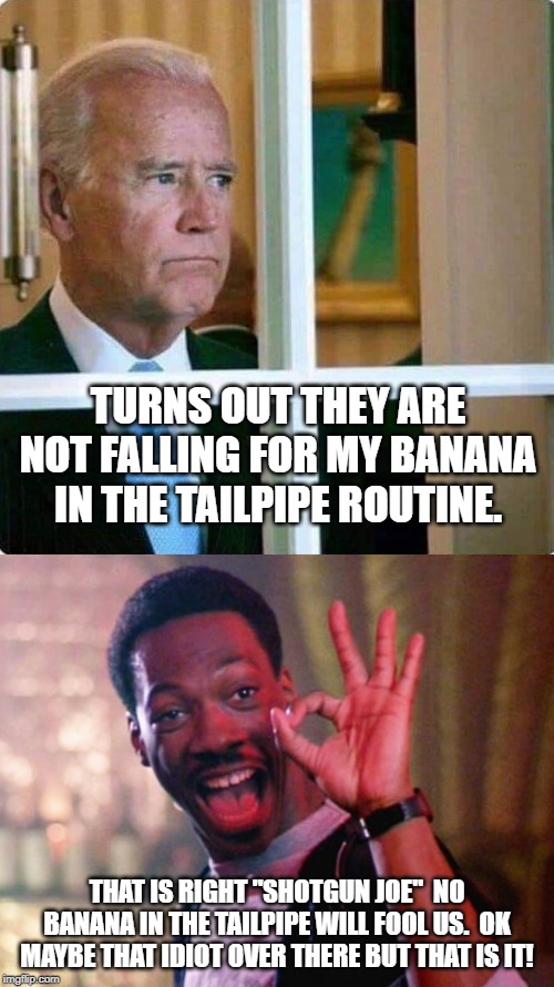 TURNS OUT THEY ARE NOT FALLING FOR MY BANANA IN THE TAILPIPE ROUTINE. THAT IS RIGHT "SHOTGUN JOE"  NO BANANA IN THE TAILPIPE WILL FOOL US.  OK MAYBE THAT IDIOT OVER THERE BUT THAT IS IT! | image tagged in axel foley,biden questioning life | made w/ Imgflip meme maker