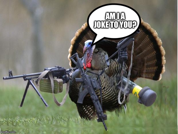 turkey | AM I A JOKE TO YOU? | image tagged in turkey | made w/ Imgflip meme maker
