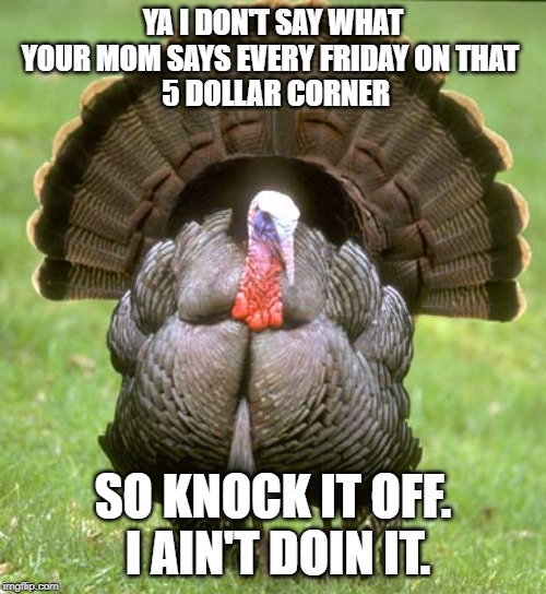 Turkey |  YA I DON'T SAY WHAT YOUR MOM SAYS EVERY FRIDAY ON THAT 
 5 DOLLAR CORNER; SO KNOCK IT OFF.  I AIN'T DOIN IT. | image tagged in memes,turkey | made w/ Imgflip meme maker