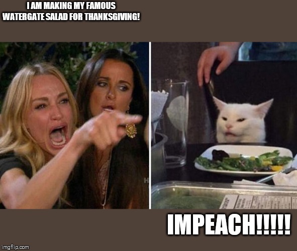 Woman yelling at white cat | I AM MAKING MY FAMOUS WATERGATE SALAD FOR THANKSGIVING! IMPEACH!!!!! | image tagged in woman yelling at white cat | made w/ Imgflip meme maker
